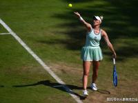 开云平台-捷克健将再度登顶，勇夺头名大奖的简单介绍