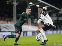 开云体育官网-富勒姆主场不敌热刺，遭遇连败的简单介绍