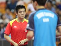 开云体育平台APP-冰岛力克匈牙利，成功晋级强的简单介绍