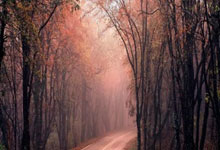 开云体育官网-关于斯洛伐克再战俄罗斯，争夺欧洲杯八强席位的信息