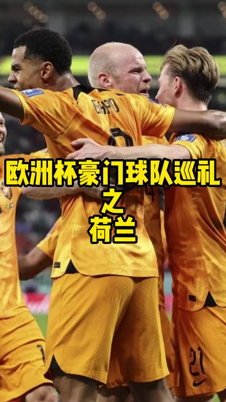 荷兰队夺冠,教练感动泣不成声 荷兰队夺冠,教练感动泣不成声